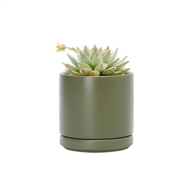 D'vine Dev 3.5 Inch Ceramic Planter Pot with Drainage Hole and Saucer, Indoor Cylinder Round Planter Pot, Olive, 94-O-A-J by GreenHaven Gardens
