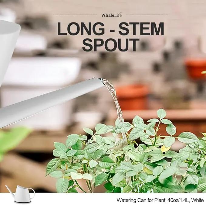 WhaleLife Indoor Watering Can for House Bonsai Plants (1.4L, White) by GreenHaven Gardens