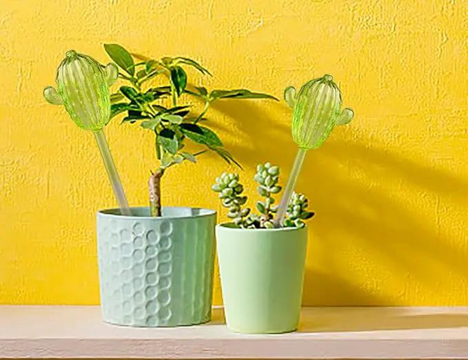 Ahhute Plant Watering Globes, Cactus Self Watering Globes, Glass Self Watering Planter Insert, Cacti Plant Watering Devices, Automatic Plant Waterer Indoor, Watering Bulbs, 2 Pack by GreenHaven Gardens