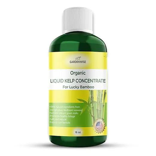 Organic Premium Kelp Seaweed Liquid Fertilizer for Lucky Bamboo - Natural Soil Enhancer (16 OZ) by GreenHaven Gardens