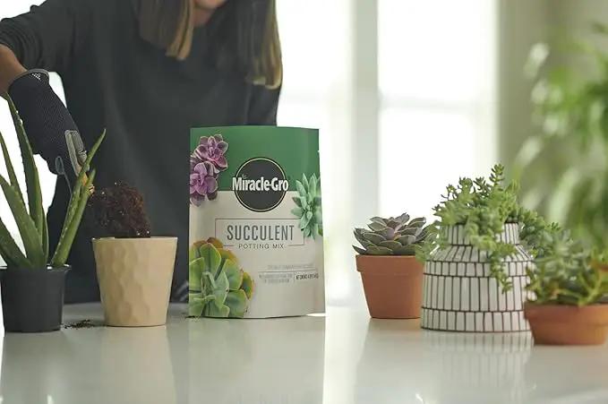 Miracle-Gro Succulent Potting Mix - Fertilized Soil with Premium Nutrition for Indoor Succulents, 4 qt. (2-Pack) by GreenHaven Gardens