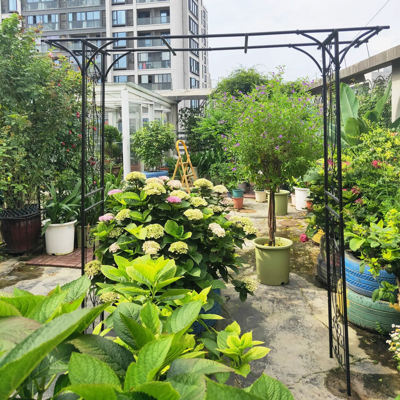 Metal Garden Arch Climbing Plants Support Rose Arch Outdoor - Black by Unique Piece Furniture