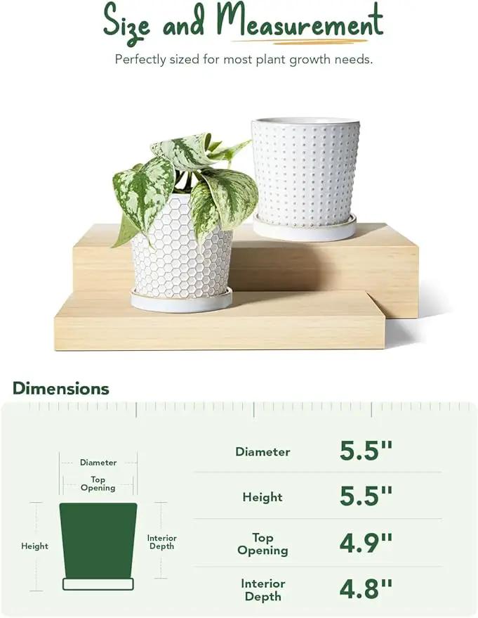 LE TAUCI Ceramic Plant Pots, 5.4 Inch Pots for Indoor Plants, Planters with Drainage Hole and Saucer, Flower Pots for Succulent, Snake Plants and Cactus, Set of 2, Reactive Glaze White by GreenHaven Gardens