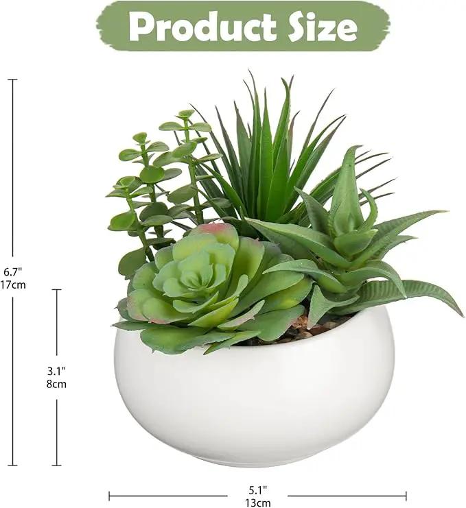 Fake Plants Artificial Succulents in Pots Faux Succulent Arrangement Potted Plant with White Ceramic Pot for Home Decor Modern Office Desk Bathroom Shelf Living Room Indoor Decoration by GreenHaven Gardens