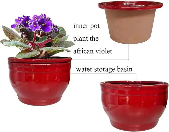 African Violet Pots Self Watering Round Ceramic Violet Pot (red, 6 inch) by GreenHaven Gardens