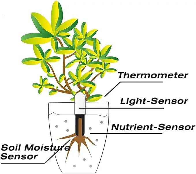 Soil Moisture Meter 4 in 1,Plant Water Monitor,Automatically detect Moisture/Temperature/Light/Fertility,Can Connect to Mobile Phone via Bluetooth,Hygrometer Sensor for Indoor Plants (2pc) by GreenHaven Gardens