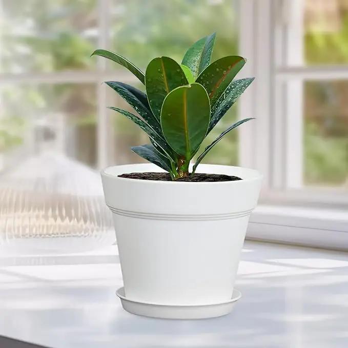 4 inch Small Plastic Nursery Pots, Seedling Pots, 16 Pack Plant Pots for Indoor Outdoor Plants, Flower Pots with Drainage Holes and Saucers, Decorative Planters for House Plants, White by GreenHaven Gardens