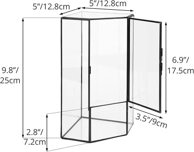 NCYP Front Opening Glass Terrarium with Door for Succulents, Small Plants - Closed Geometric Container Planter, Indoor Tabletop Wall Corner Landscape Decor, Black, 5" x 5" x 9.8" (Terrarium Only) by GreenHaven Gardens