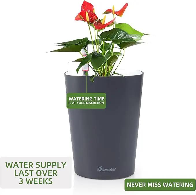 Dexceder 6x7 Self Watering Planter Indoor Outdoor, Matte Table Flower Plant Pot with Water Level Indicator (Slate Gray) by GreenHaven Gardens