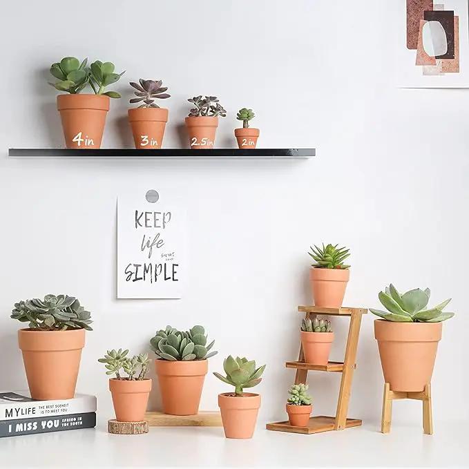 3 inch Terracotta Clay Pots Pack of 18, Small Plant Pots with Drainage Holes and Saucers, Mini Nursery Plant Pots for Succulents, Cactus, Indoor,Outdoor,Halloween Decor by GreenHaven Gardens