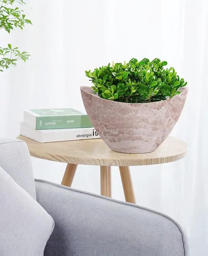 LaDoVita Plant Pots with Drainage Holes, 12 Inch Large Oval Planters for Indoor Plants, Plastic Flower Pots Outdoor, Set of 2 Pack, Brown by GreenHaven Gardens