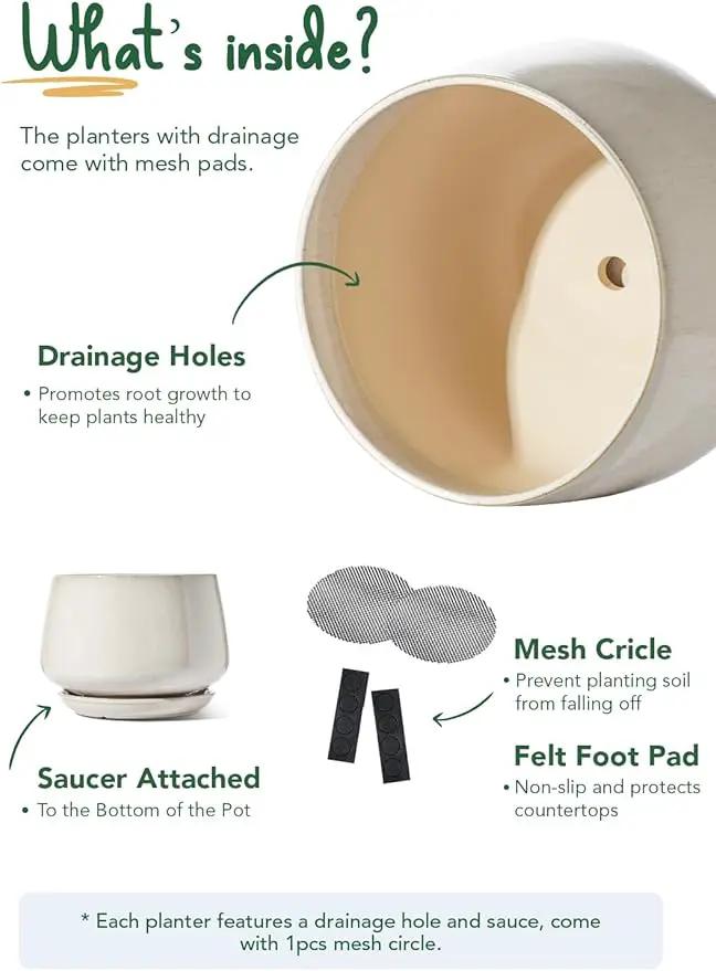 LE TAUCI Ceramic Plant Pots, Set of 2, 10 + 12 Inch Plant Pot, Elegant Planters for Indoor Plants, Sturdy Planter with Drainage Hole and Saucers, Perfect for Home Decor, Reactive Glaze Beige by GreenHaven Gardens