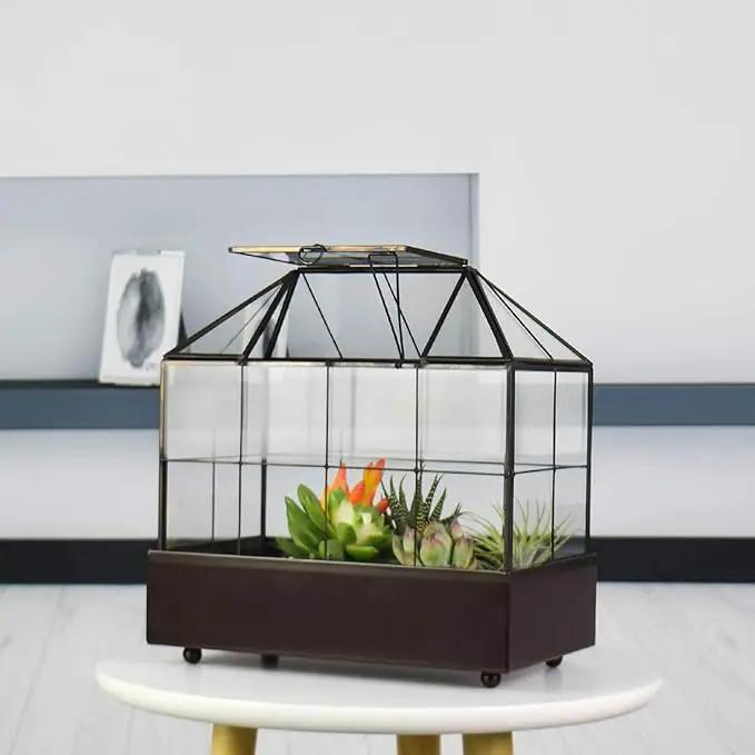 Large Tall Plant Terrarium Glass Greenhouse with Lid and Tray, Indoor Tabletop Orchid Succulent Cacti Kit 9.5'X9.8'X5.6' by GreenHaven Gardens