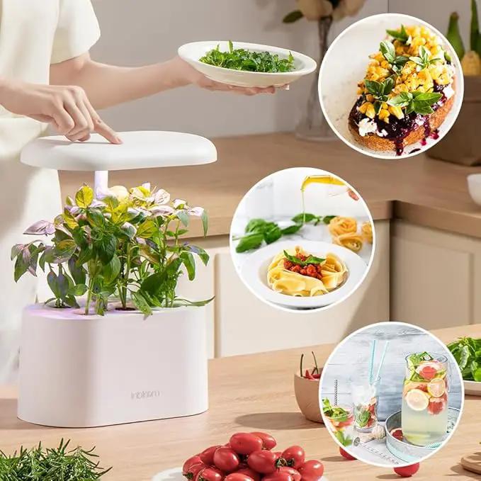 inbloom Gourmet Herb Seed Pod Kit for AeroGarden, iDoo, Ahopegarden with Basil, Parsley, Cilantro, Chrysanthemum, Pak Choi, Crystalline Ice Plant, Onion, Hydroponics Growing System Supply (12-Pod) by GreenHaven Gardens