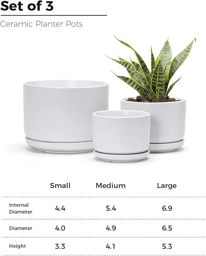 Ton Sin Plant Pots, 4.1+5.1+6.5 inch, Set of 3, Ceramic Planters with Drainage Hole and Saucer, Indoor Flower Pot with Hole Mesh Pad, Gifts for Mom(Matte White) by GreenHaven Gardens