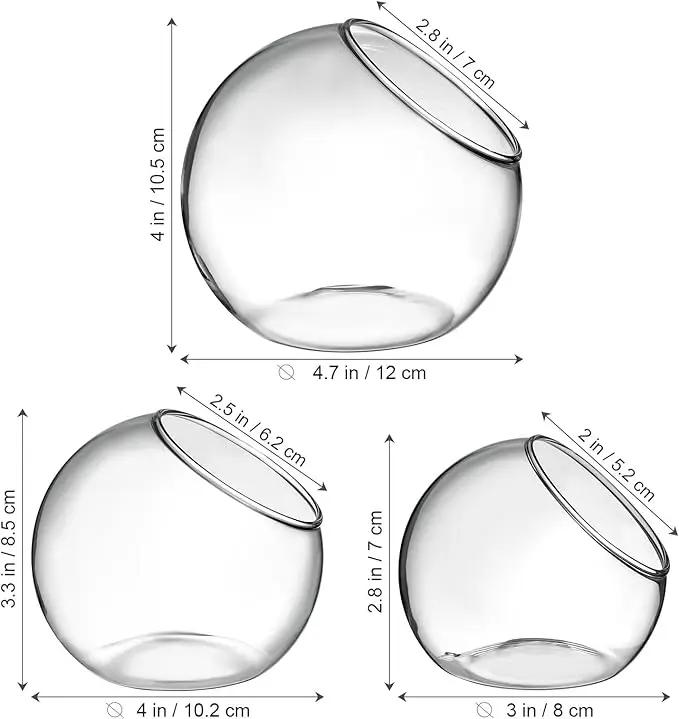 Mipcase 3 Pcs Plant Terrarium Plant Holder Terrarium Air Plant, 3 Round Glass Vase for Succulents, Clear Bubble Planter for Home Decor, Oblique Opening Glass Bowls Succulent Orbs Mini Tank by GreenHaven Gardens