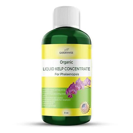 Organic Premium Kelp Seaweed Concentrate: Fertilizer for Phalaenopsis Orchids – Liquid Plant Fertilizer – Orchid Bloom Booster – Seaweed Extract for Plants (8 OZ) by GreenHaven Gardens