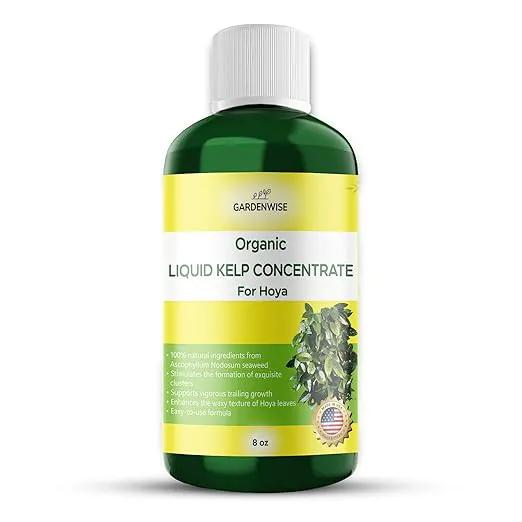 Organic Premium Kelp Seaweed Concentrate for Hoya - Liquid Fertilizer - Liquid Plant Food - Nutrient-Rich Soil Enhancer - Natural Plant Food for Hoya Plant (8 OZ), OLKC-15 by GreenHaven Gardens