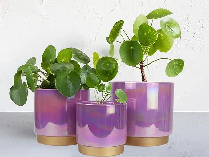 Gepege Ceramic Pots for Plants, Rainbow Pearl Glaze Planter with Drainage Hole, 6.0 inch+5.0 Inch+4.0 Inch. Indoor-Outdoor Large Round Succulent Orchid Flower Pots by GreenHaven Gardens