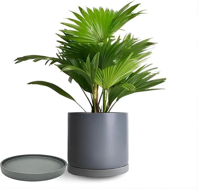 2 Pack Ceramic Plant Saucer Pot Tray 6 Inch, Planter Saucers 4 5 6 7 8 9 10 11 12 13 Inch for Indoors Outdoor, Durable Sturdy Flower Drainage drip Water Tray for Glazed Pots Base (6.4 Inch-Grey) by GreenHaven Gardens