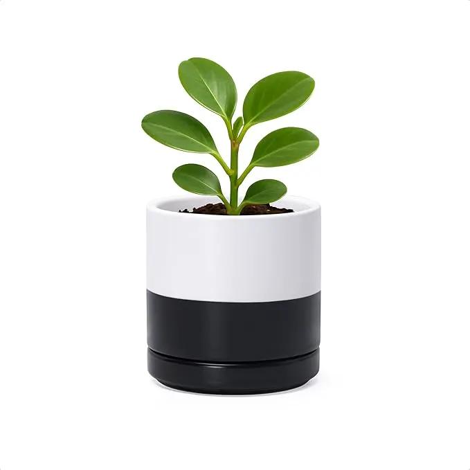D'vine Dev 3.5 Inch Ceramic Planter Pot with Drainage Hole and Saucer, Indoor Cylinder Round Planter Pot, Layered Monochrome Black & White, 94-O-A-L by GreenHaven Gardens