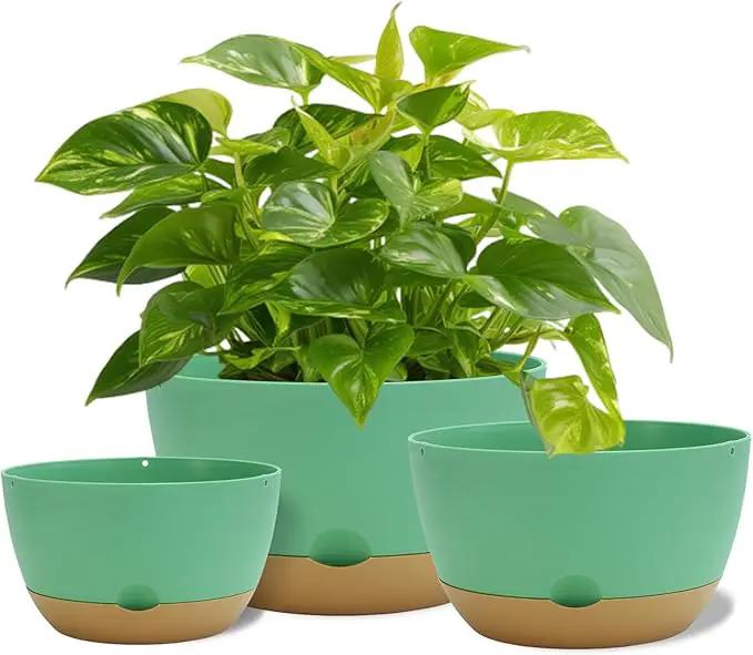 8/10/12 Inch Pots for Indoor Plants, Large Self Watering Planters with Drainage and Saucers, Plastic Outdoor Flower Pot, Set of 3, Green by GreenHaven Gardens