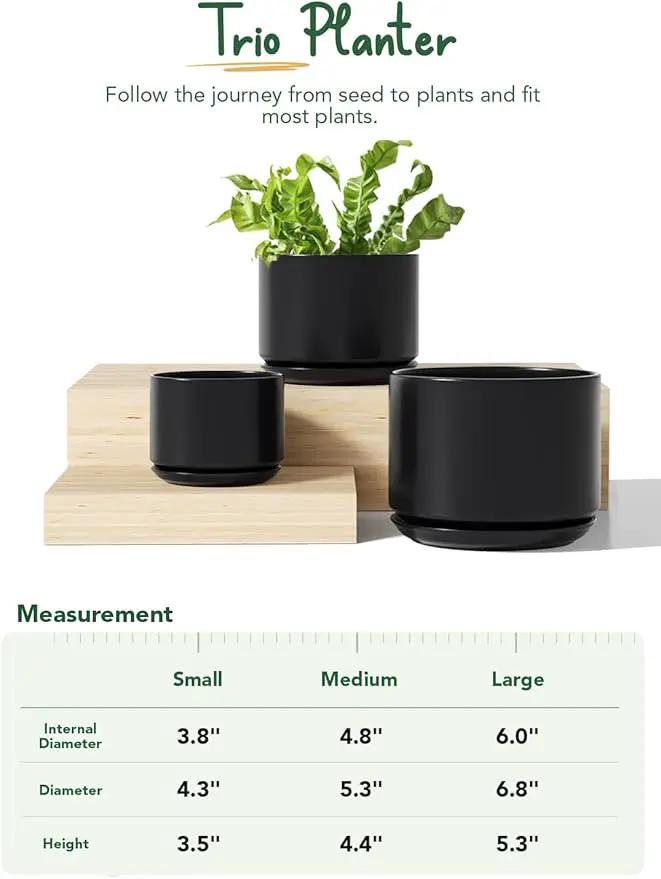 LE TAUCI Ceramic Plant Pots, 4.3+5.3+6.8 inch, Set of 3, Planters with Drainage Hole and Saucer, Indoor Flower Pot with Hole Mesh Pad, Gifts for Mom, Black by GreenHaven Gardens