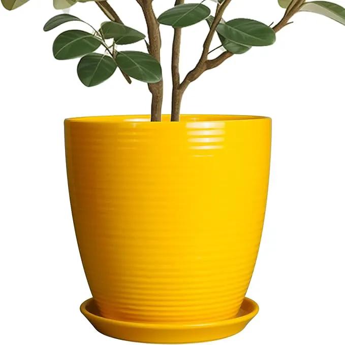 10 Inch Plant Pot - Ceramic Pot for Plants Outdoor Planter for Indoor Plants Large Plant Pot with Drainage Hole and Saucer Round Flower Pot for Home Patio Office Yellow by GreenHaven Gardens