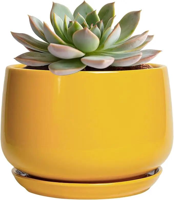 G EPGardening Ceramic Plant Pot - 6 Inch Ceramic Planter with Drainage Hole and Tray, Modern Round Planter, Flower Pot for Indoor Outdoor Plants, Plants Lovers Gifts, House Garden Decor, Yellow by GreenHaven Gardens