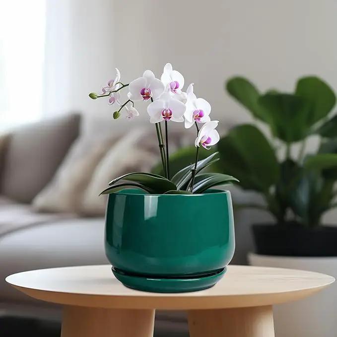 G EPGardening Ceramic Planter for Indoor Plants - 7 Inch Plant Pot, Round Planter with Drainage and Saucer, Round Flower Pots for Outdoor, Modern Desk Decor, Gift for Women Men, Green by GreenHaven Gardens