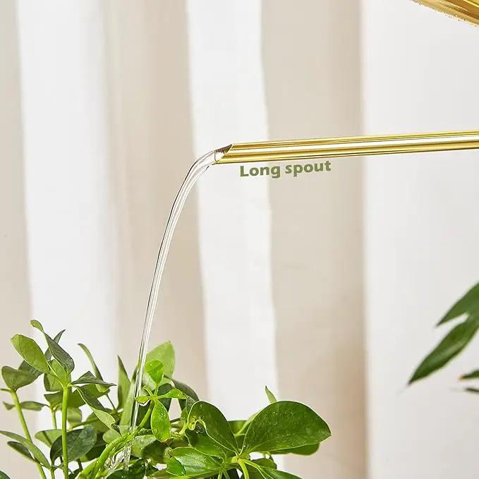 Watering Can for Indoor Plants, 50 oz/1.5L Stainless Steel Watering Can Pot with Long Spout, Garden Watering Cans with Comfortable Handle for Indoor House Plants Bonsai Flower Decorative by GreenHaven Gardens