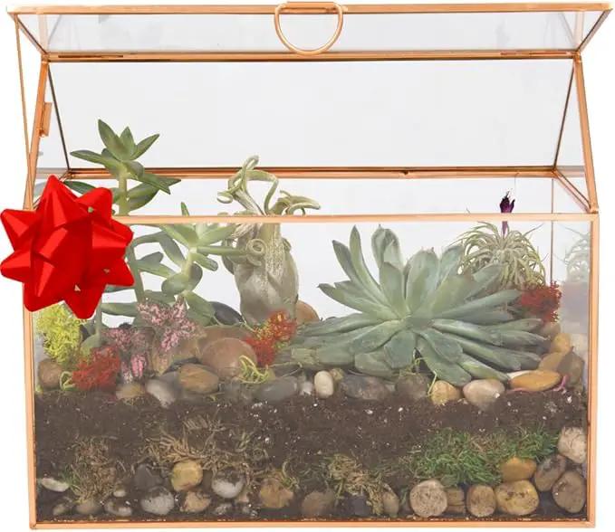 D'Eco Glass House Plant Terrarium (10"x6"x8") - Indoor Tabletop Gold Geometric Planter Terrarium for Succulents, Air Plants, Moss - Home, Garden, Wedding & Office Decor - Gift for Plant Lovers by GreenHaven Gardens