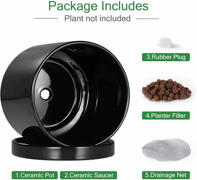 Aveyas 10 inch Ceramic Plant Pot with Drainage Hole and Saucer - Suitable for Indoor and Outdoor Use, Modern Planters for House Garden Flower Tree Snake Monstera Plants (10", Glossy Black) by GreenHaven Gardens
