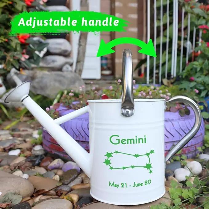 Metal Watering Can for Outdoor and Indoor Plants, Watering Can Decor, 1 Gallon (Gemini) by GreenHaven Gardens