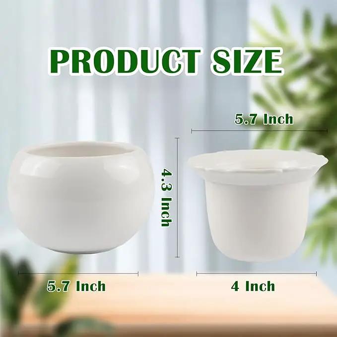 African Violet Pots, 6 inch Ceramic Easy Self Watering Plant Pot for Busy Plant Lovers, Automatically Absorb Appropriate Amount of Water, Flower Pot Indoor-Plants Not Included by GreenHaven Gardens