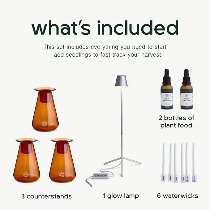 Counterstand Set – Vase Plant for Indoor Edible Garden Kit for Herbs & Lettuce – Small-Space Hydroponic System – Home Decor & Gifting – with Live Plants by GreenHaven Gardens