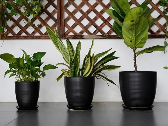 Ceramic Plant Pot 10 Inch - Large Planter Pots for Plants Indoor Outdoor Glazed Round Flower Pot with Drainage Hole and Saucer Black by GreenHaven Gardens