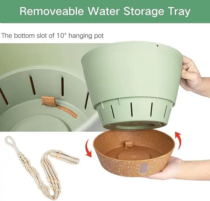 QCQHDU 2 Pack Hanging Planters for Indoor Plants, Outdoor Flower Hanging Baskets, Self Watering Pots with Drainage Holes & Removable Tray (Green, 10 inch, Macrame Hanger) by GreenHaven Gardens