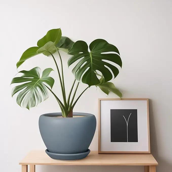 Ceramic Pot for Plants - 6 Inch Plant Pot Indoor with Drainage Hole and Saucer Decorative Planter for Outdoor Plants Modern Succulent Pot Round Flower Pot Gray by GreenHaven Gardens