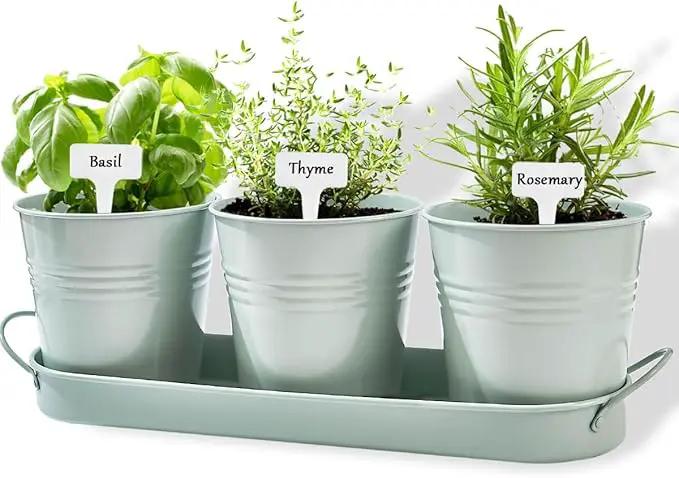 vensovo Indoor Herb Planter Set - Galvanized Windowsill Garden Pots with Tray & Drainage, Set of 3 Metal Window Planters for Kitchen & Outdoor Use, Light Green by GreenHaven Gardens
