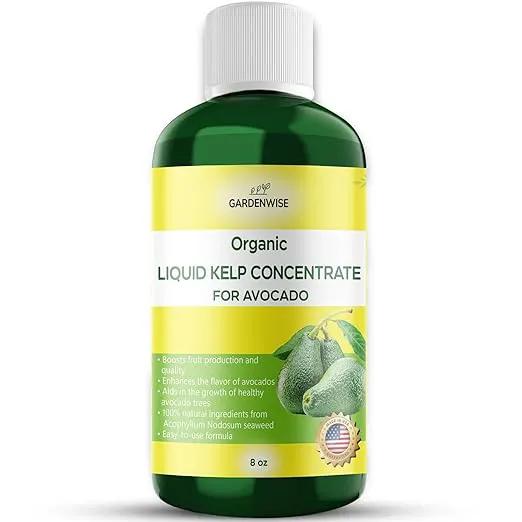 Organic Premium Kelp Seaweed Fertilizer - Liquid Plant Food - Nutrient-Rich Soil Enhancer - Improves Fruit Yield and Quality - Natural Plant Food for Avocado Tree (8 OZ) by GreenHaven Gardens