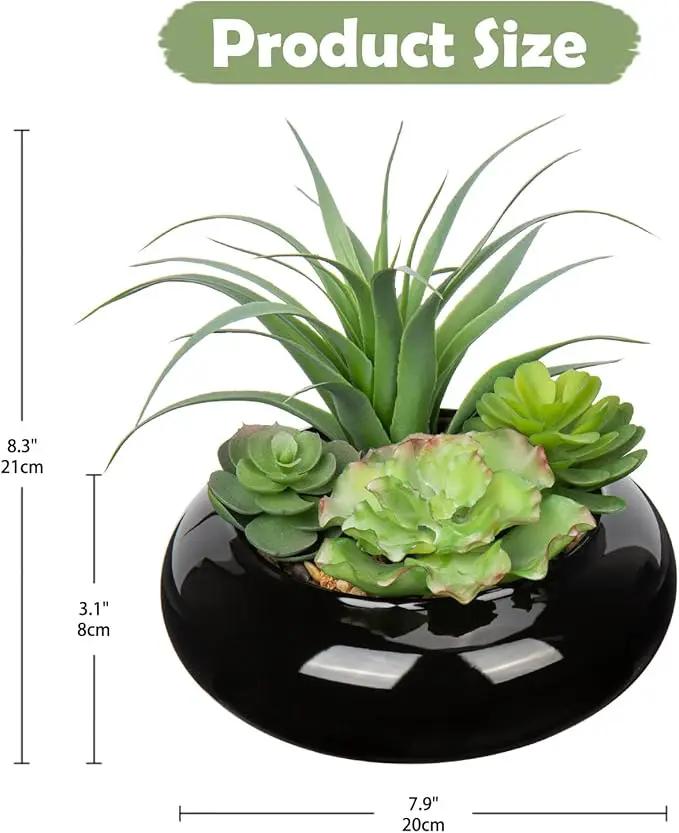Large Artificial Succulents Plants Faux Succulents in Pots Fake Succulent Arrangement Potted Plants with Black Ceramic Pot for Office Desk Bathroom Shelf Living Room Indoor & Outdoor Home Decor by GreenHaven Gardens