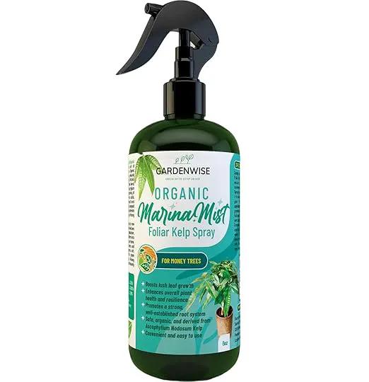 Organic Marina Mist Foliar Spray for Money Tree | Liquid Fertilizer | Micro Nutrients for Vital Health | Liquid Plant Food (8 OZ) by GreenHaven Gardens