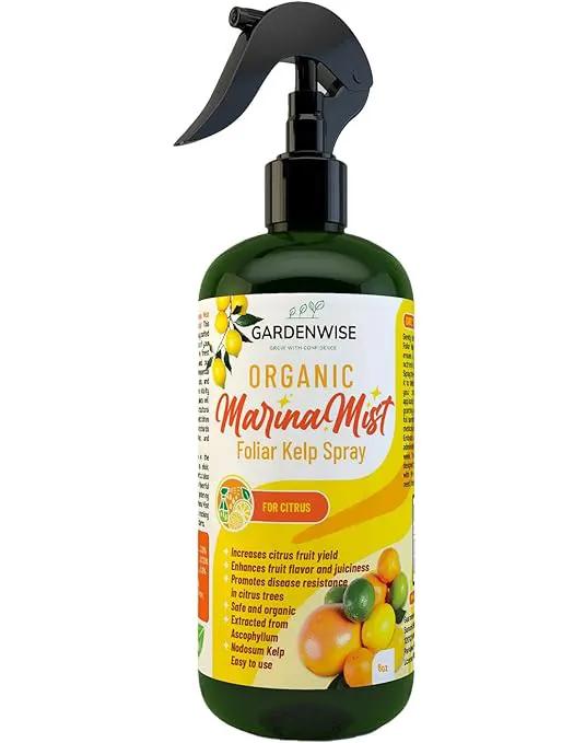 Organic Marina Mist Foliar Kelp Spray for All Citrus and Fruiting Trees | Micro Nutrients for Vital Health | Gentle Formula | Liquid Plant Food | Quick Results (8 OZ) by GreenHaven Gardens