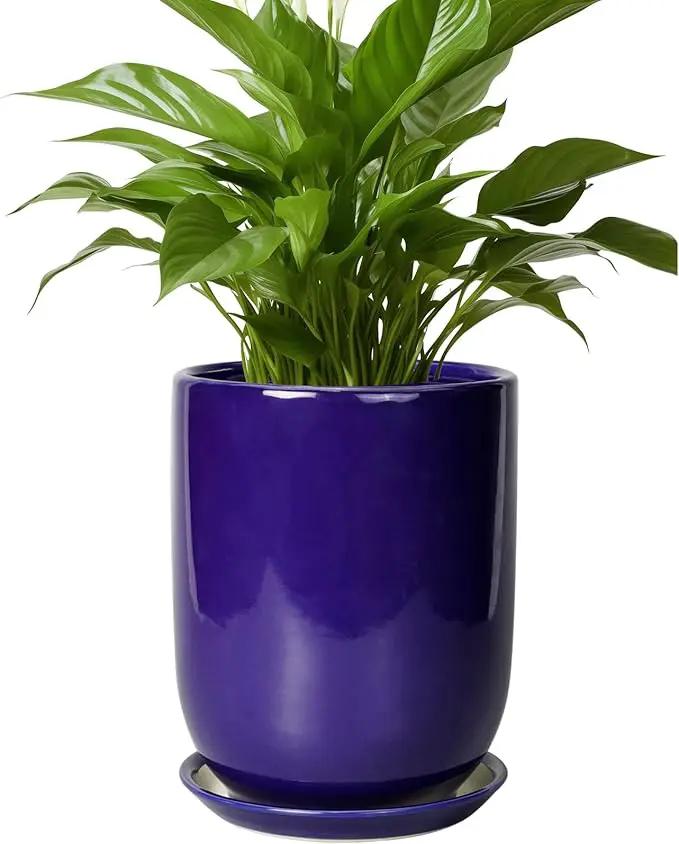 Ceramic Plant Pot - 8 Inch Planter for Indoor Plants Outdoor Flower Pot with Drainage Hole and Saucer Home Patio Office Decor Blue by GreenHaven Gardens