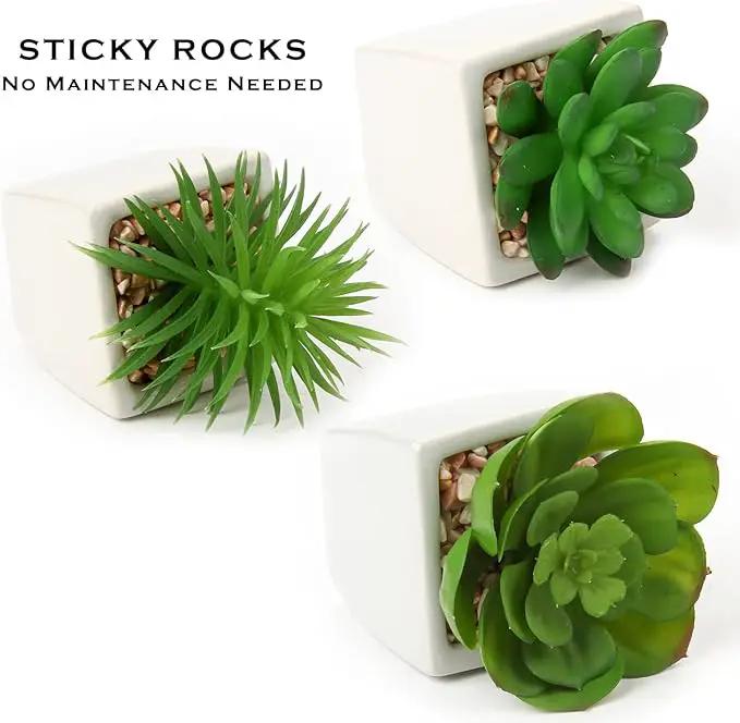 Hollyone Succulents Plants Artificial 3Pcs Small Fake Succulents in Pots Faux Plastic Potted Plants with White Ceramic Pot for Home Decor Classroom Office Bathroom Shelf Indoor & Outdoor Decorations by GreenHaven Gardens