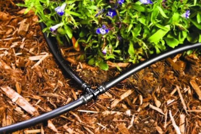 Rocky Mountain Goods Drip Irrigation Tubing - Heavy Duty Blank Drip Hose Ready for Custom Drip Irrigation Setup - Works with 1/4” Barbed Fittings - Black PVC - Easy to Use (100 Foot 1/4") by GreenHaven Gardens