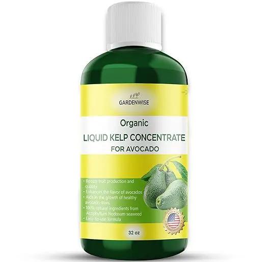 Organic Premium Kelp Seaweed Fertilizer - Liquid Plant Food - Nutrient-Rich Soil Enhancer - Improves Fruit Yield and Quality - Natural Plant Food for Avocado Tree (32 OZ) by GreenHaven Gardens