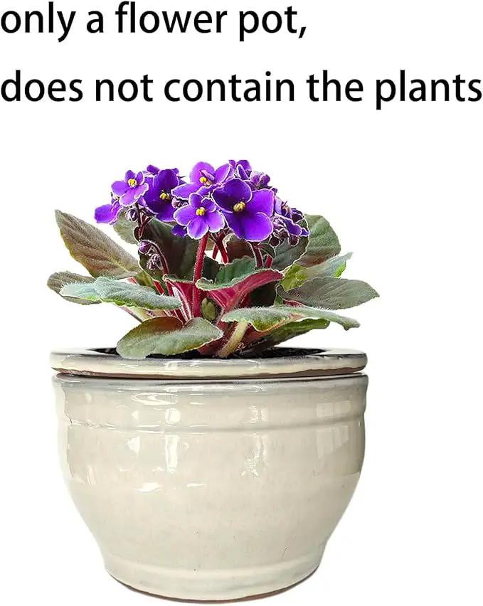 African Violet Pots Self Watering Round Ceramic Violet Pot (White, 6 inch) by GreenHaven Gardens