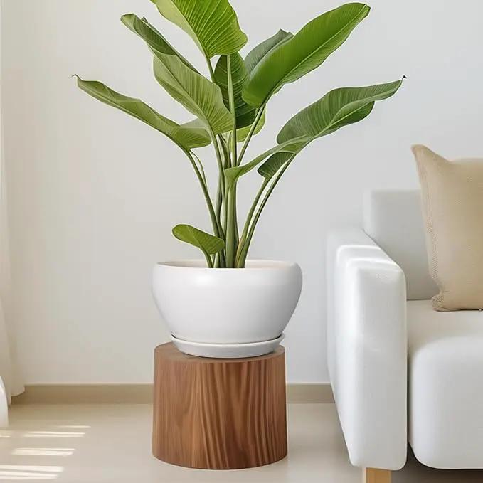 Ceramic Planter for Indoor Plants - 11 Inch Plant Pot with Drainage Hole and Saucer Decorative Round Large Planter Pot for Plants Outdoor Flower Pot for Garden White by GreenHaven Gardens